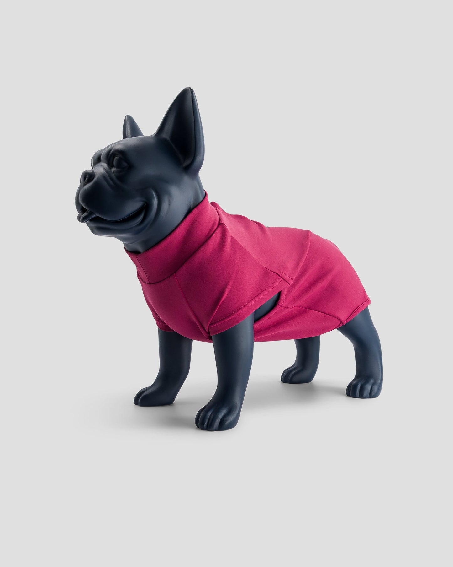 Maillot de bain pour chien Prune Sinbad