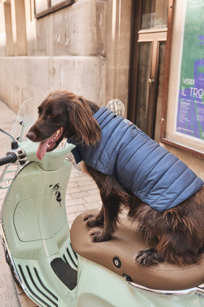 Doudoune pour chien Bluestone Cutie