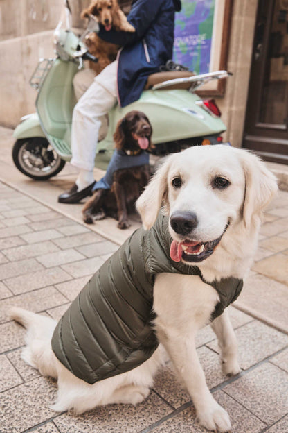 Doudoune pour chien Army Cutie