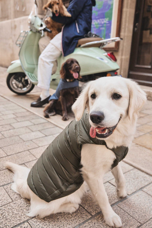 Doudoune pour chien Army Cutie