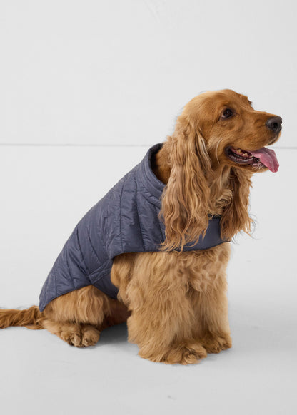 Doudoune pour chien Bluestone Cutie