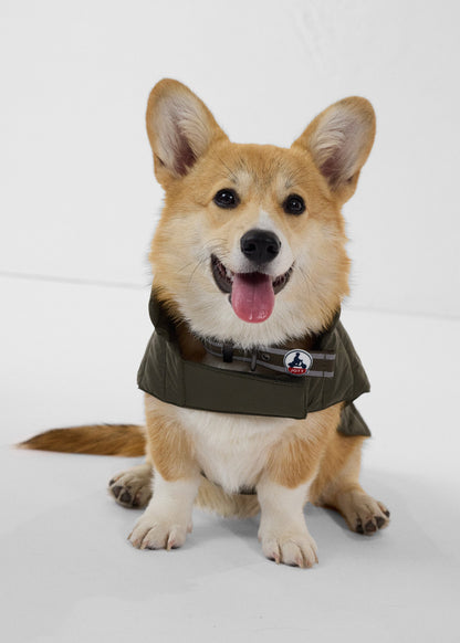 Doudoune pour chien Army Cutie