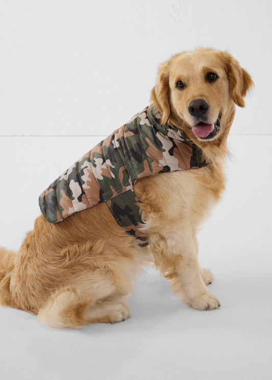 Doudoune pour chien Camo sucre roux Cutie print