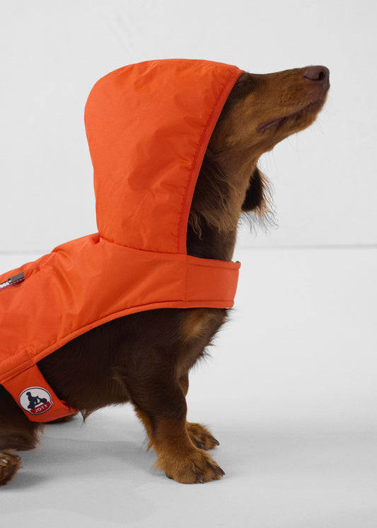 Imperméable pour chien Rouge feu Balto