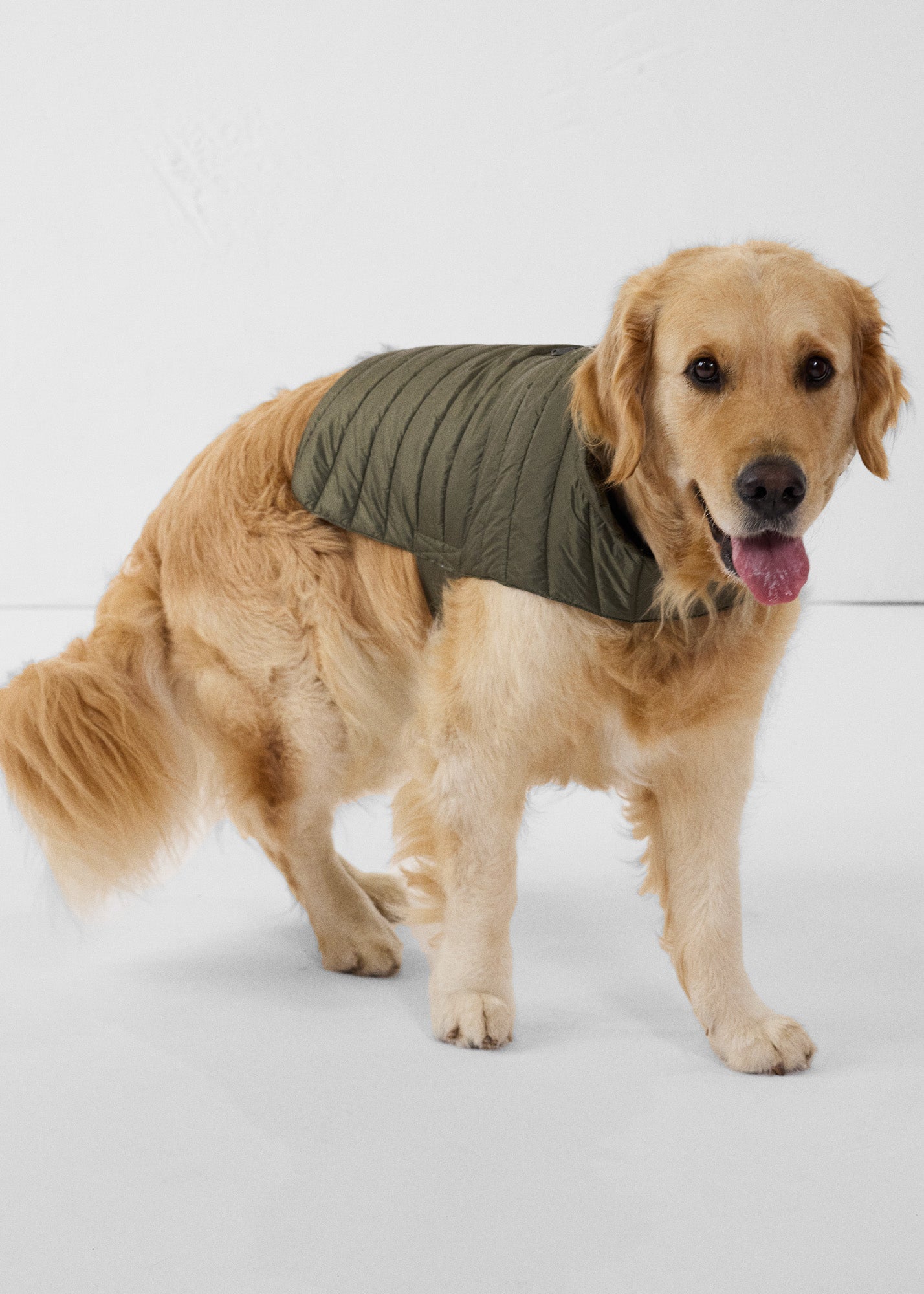 Doudoune pour chien Army Cutie