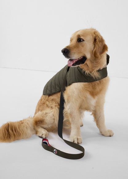 Laisse pour chien Army Max