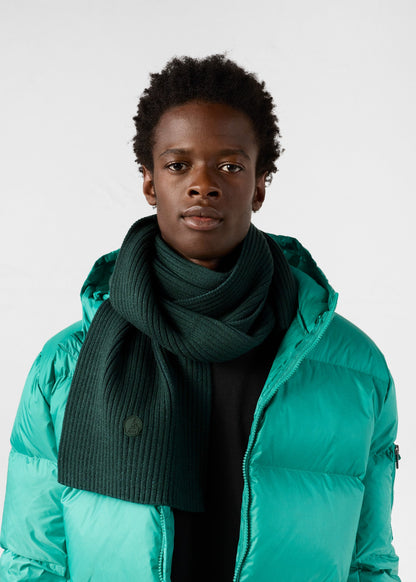 Écharpe bicolore Forêt Peech